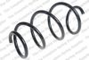 CITRO 9800992080 Coil Spring
